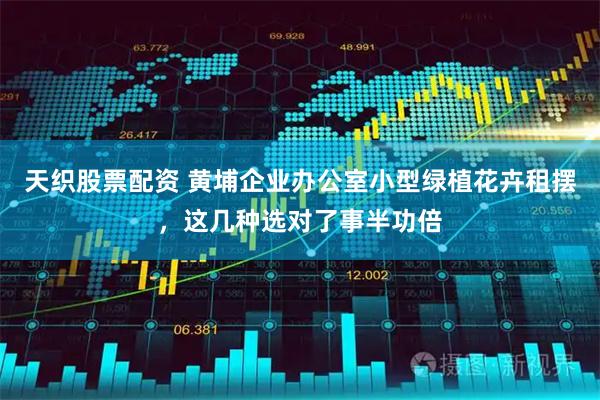 天织股票配资 黄埔企业办公室小型绿植花卉租摆，这几种选对了事半功倍