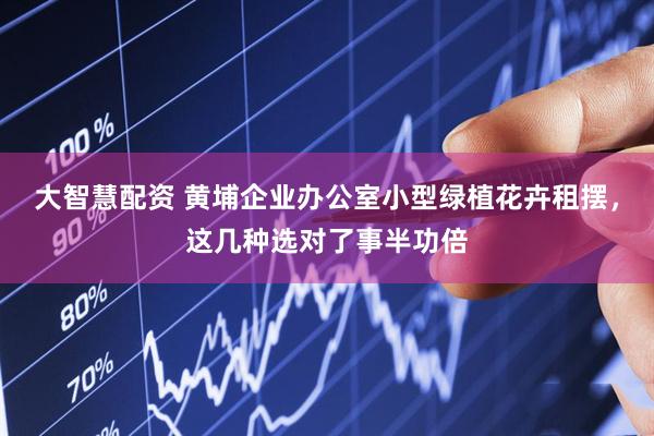 大智慧配资 黄埔企业办公室小型绿植花卉租摆，这几种选对了事半功倍