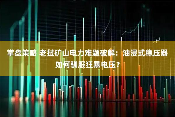 掌盘策略 老挝矿山电力难题破解：油浸式稳压器如何驯服狂暴电压？