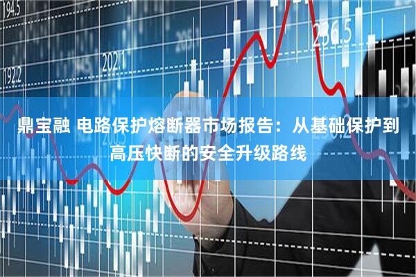 鼎宝融 电路保护熔断器市场报告：从基础保护到高压快断的安全升级路线