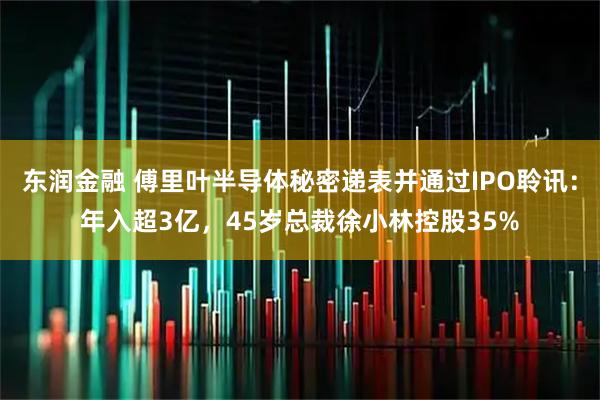 东润金融 傅里叶半导体秘密递表并通过IPO聆讯：年入超3亿，45岁总裁徐小林控股35%