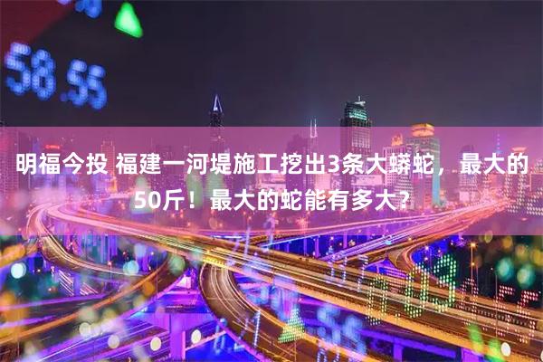 明福今投 福建一河堤施工挖出3条大蟒蛇，最大的50斤！最大的蛇能有多大？