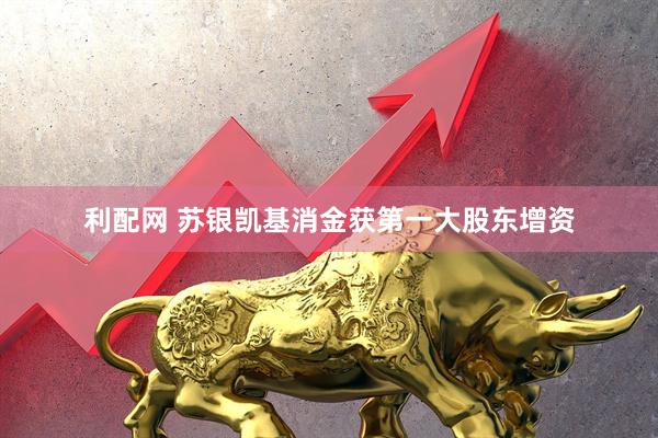 利配网 苏银凯基消金获第一大股东增资