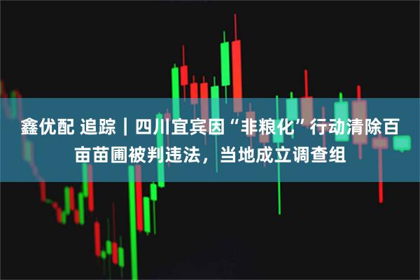 鑫优配 追踪｜四川宜宾因“非粮化”行动清除百亩苗圃被判违法，当地成立调查组