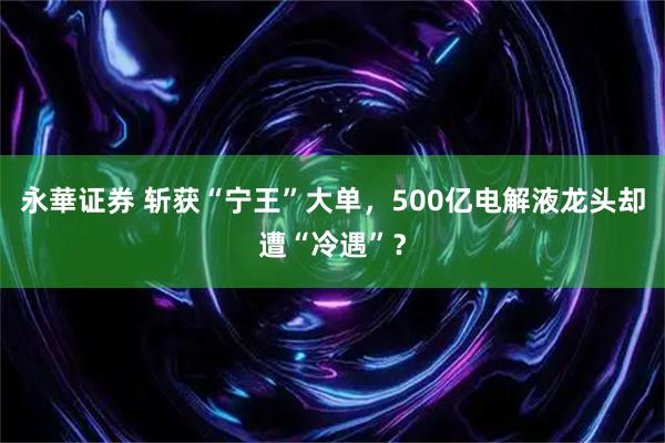 永華证券 斩获“宁王”大单,500亿电解液龙头却遭“冷遇”?