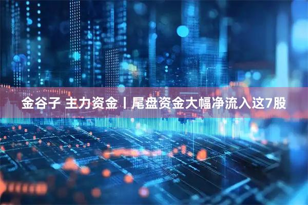 金谷子 主力资金丨尾盘资金大幅净流入这7股