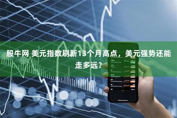 股牛网 美元指数刷新13个月高点，美元强势还能走多远？