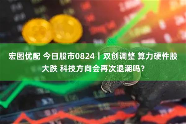 宏图优配 今日股市0824丨双创调整 算力硬件股大跌 科技方向会再次退潮吗？